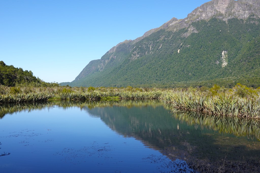Fergburgers and Fjordlands